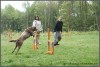 1.agility u nás 1.agility u nás
