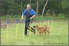 Druhé Agility Druhé Agility