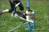 Agility po třetí Agility po třetí