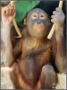 Návštěva ZOO Ústí n/L Návštěva ZOO Ústí n/L