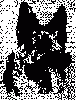 Zkoušky dle NZŘ Zkoušky dle NZŘ