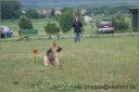 Leona a borka odložení-ZOP